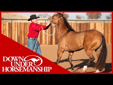 Clinton Anderson: Correcting Mouthy Horses - Downunder Horsemanship