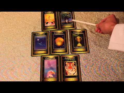 WOCHENLEGUNG 22.09.2014 bis 28.09.2014