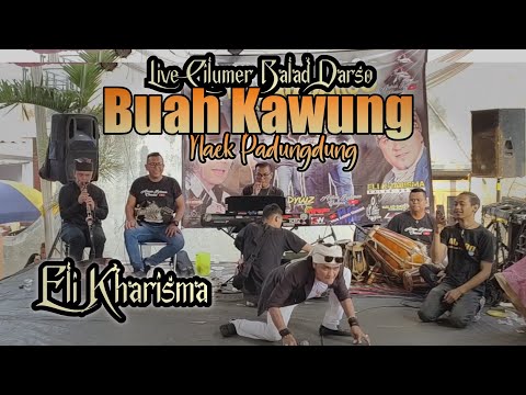 Buah Kawung naek " padungdung " - Eli Kharisma Balad Darso ( Arf Audio )