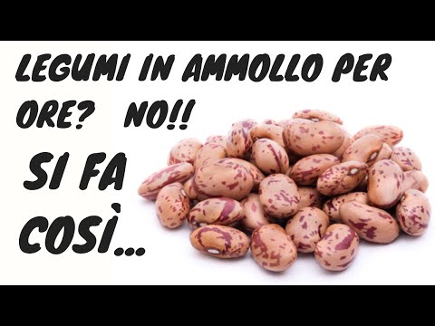 Ricetta veloce per cuocere legumi secchi