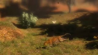 Throwback Thursday | Episode 16 Leopard | Cabela’s Hunting Expeditions