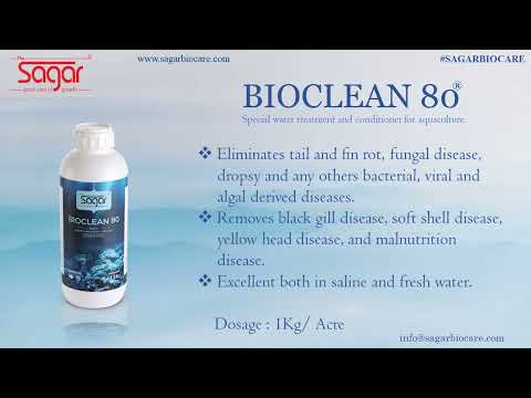 Sagar BIOCLEAN 80 Benzalkonium Chloride