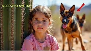 Dos perros policía encontraron a una niña atada — ¡Lo que ocurrió después sorprendió a todos!