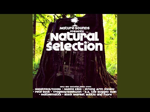 Video thumbnail for Angels (Original Version)