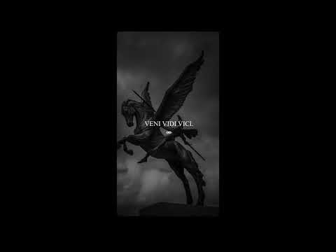 Zyzz X Tevvez Quasar Hadstyle