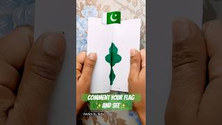 COMMENT YOUR FLAG ✨😍 #art #calmdownchallenge #drawing #viral #trending #painting #independenceday