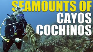 18 MILES OFFSHORE To Scuba Dive The SEAMOUNTS of Cayos Cochinos Honduras - Ep 109