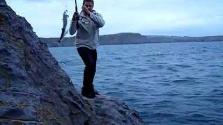 Mackerel fishing at Lydstep pembrokeshire