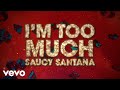 Saucy Santana - I'm Too Much (Lyric Video)