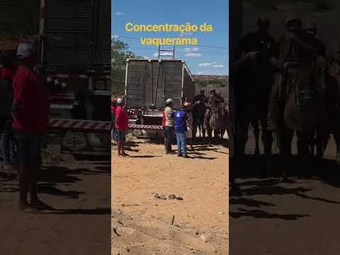 VEJA A CONCENTRAÇÃO DOS VAQUEIRO PARA A LIBERAÇÃO NA PEGA DE BOI EM IBIMIRI PE
