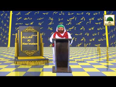 Allah Ki Naimatain Ep#04 - Kaan Ki Naimat