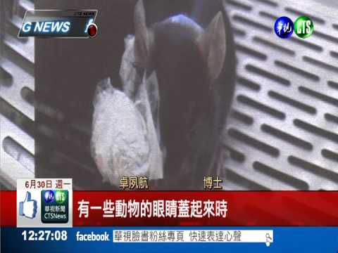 高醫大研發新藥水 抑制近視惡化