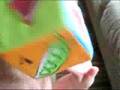 Harry Mose For Michael