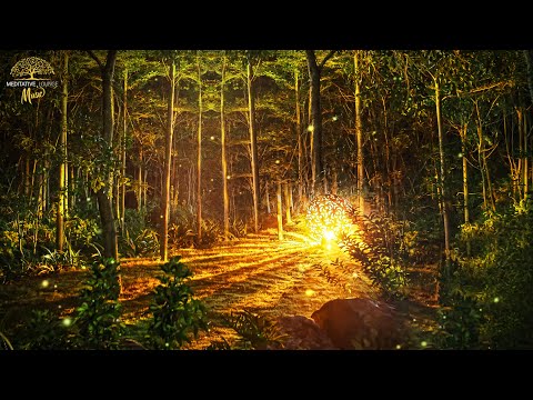 Entspannungsmusik geht unter die Haut - Klavier Wald Naturgeräusche - Einschlafen