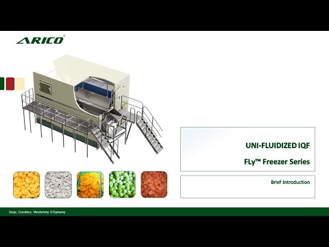 Arico Vietnam - 3rd Generation Fluidized IQF
