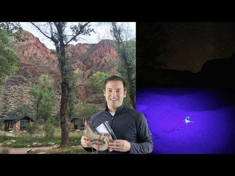 Grand Canyon Phantom Ranch Review and Tips