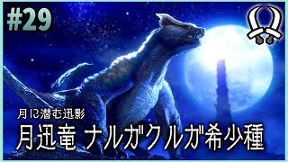 【MHR:SB】双剣縛りでゆっくり実況MR#29【月迅竜ナルガクルガ様希少種】
