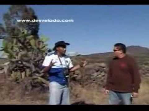 download lagu mp3 mp4 Fantmas, download mp3 Fantmas free downloadn, video klip Fantmas