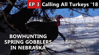29 Degrees Below Freezing And We're Hunting Spring Gobblers?! - Calling All Turkeys