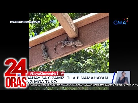 Bahay sa Ozamiz, tila pinamahayan ng mga tuko | 24 Oras