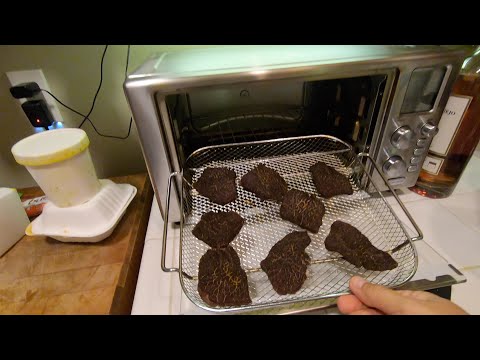 EMERIL LAGASSE AIR FRYER 360 BEEF JERKY RECIPE...