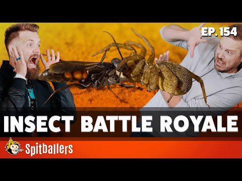 Bottom Loading Washers & An Insect Battle Royale - Episode 154 - Spitballers Comedy Show