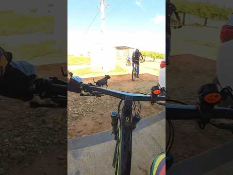 Pedal juazeiro x Sobradinho-Bahia #mtb #pedalandonaserra #ciclismo