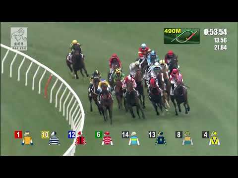 港經佬賽事重溫｜27-12-2021 沙田日馬第六場賽事重溫 (285)｜一舖縱橫 KASI FARASI (B385)｜陳嘉熙 K H Chan｜葉楚航 C H Yip｜免費心水及賽馬貼士