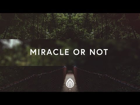 Alisa Turner ~ Miracle or Not (Lyrics)