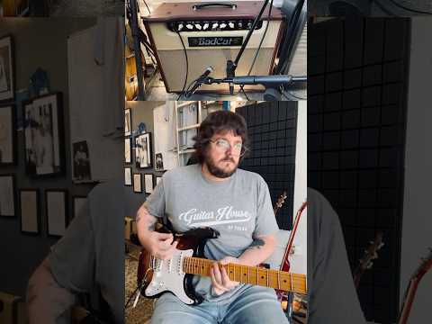 Bad Cat CUB IIR Handwired (VIDEO) image 2