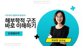 [유니스터디] 인체해부학 핵심정리 | 개념과 용어를 기초부터 꼼꼼하게!