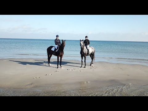 Ein Tag am Strand mit "Krilon" v. Sir Oliver-Windfall und "Helis" v. Eisfreund-Vikis