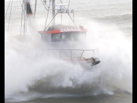 Rough Seas, Big Catches – Welcome to Hoki Season