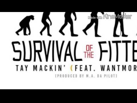 Survival of the fittest Ft wantmoren8
