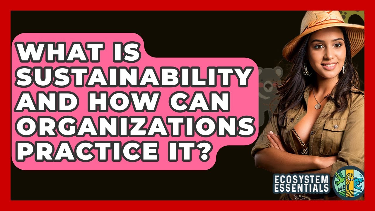 What Is Sustainability And How Can Organizations Practice It? - Ecosystem Essentials