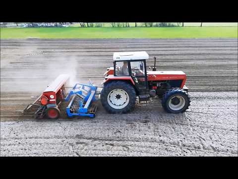 Siew łubinu i facelii 2020 / Zetor 11245 + Mandam AS + Famarol / Macks 350
