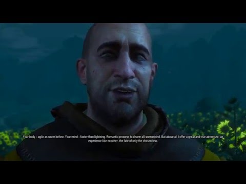 The Witcher 3: Wild Hunt Part 323 (Story and Sword, Blind)