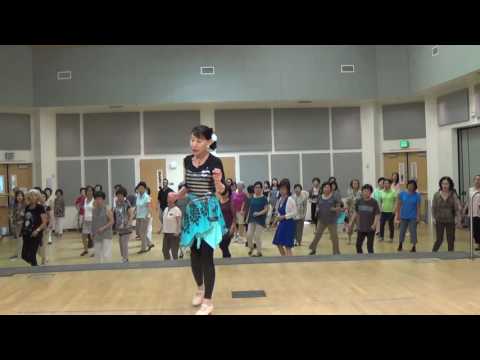 TI DICO DI SI Z ( Teach ) - Line Dance By Ira Weisburd