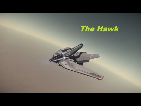 Star Citizen Ships: The Hawk