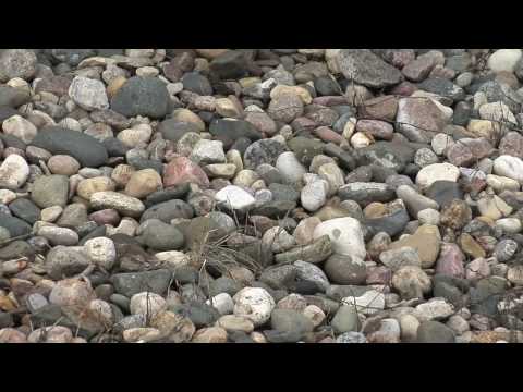 Farm Basics-Grain Bin Prep #595 (Original Air Date 8/30/09)