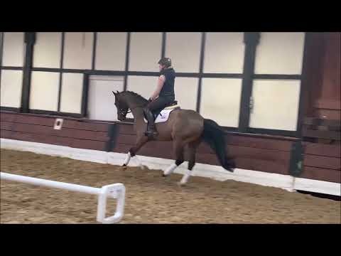 CALVIN KLEIN 3j. v. Calido - As Di Villagana VB 10.000,- Euro