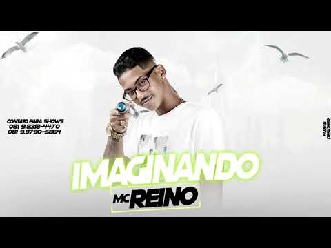 #Brega Funk Imaginando -MC Reino-