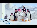 Winter With Pingu Pingu Official Channel Cartoons For Kids