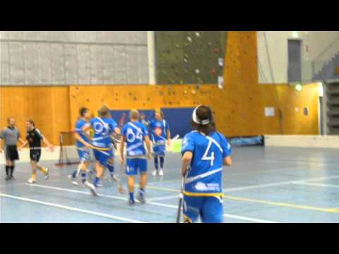 Salibandy: LeBa - Coach Team 04.11.2010