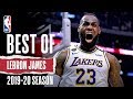 Best Of LeBron James 2019 20 NBA Season
