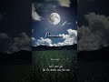 Nila Kaigirathu Female Sad Cover 31