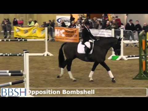 Eventing Stallions at the BBSH Stallion Event - Hartpury 2013