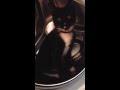 Kitten In A Washing Machine