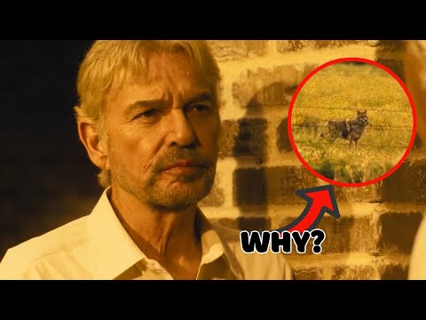 Landman Season 2 Finale Ending Explained:  Why Tommy Sees A Coyote In Landman Season 2's Finale?