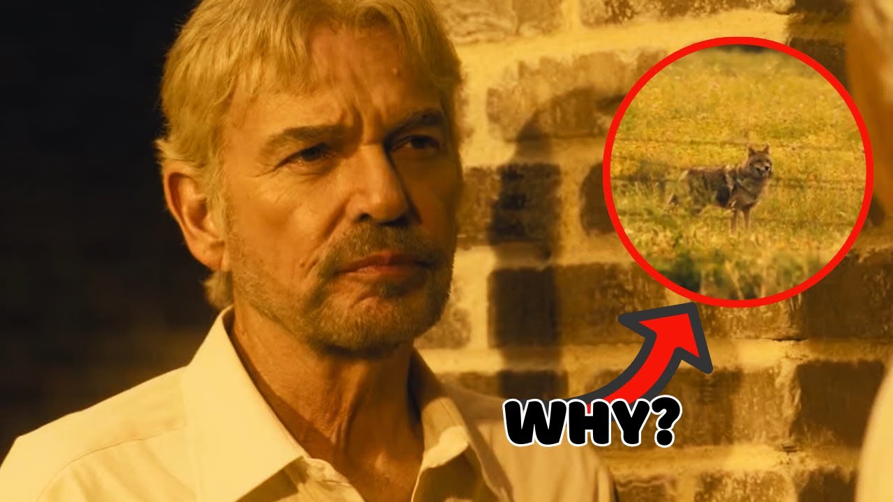 YouTube Thumbnail Downloader FULL HQ IMAGE